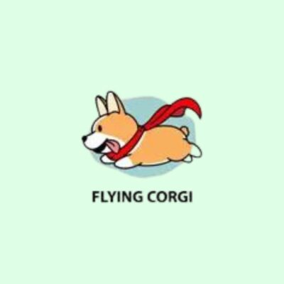Flying Corgi