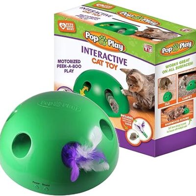 Interactive Motion Cat Toy