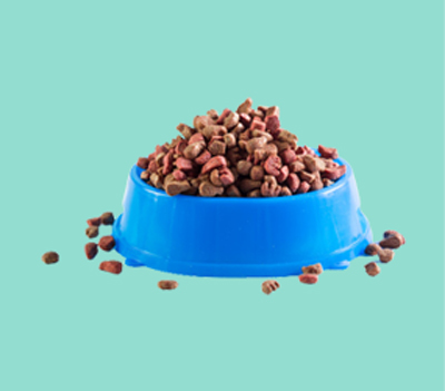 Dog Food